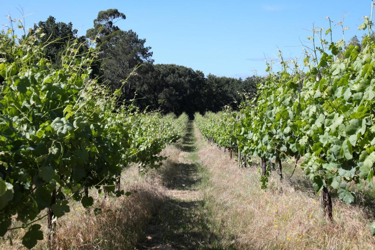 Quinta De Chousas - Braga - Agroturismo ภายนอก รูปภาพ