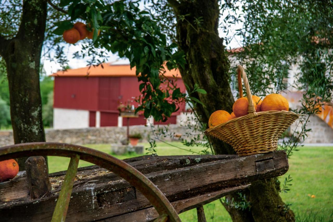 Quinta De Chousas - Braga - Agroturismo ภายนอก รูปภาพ